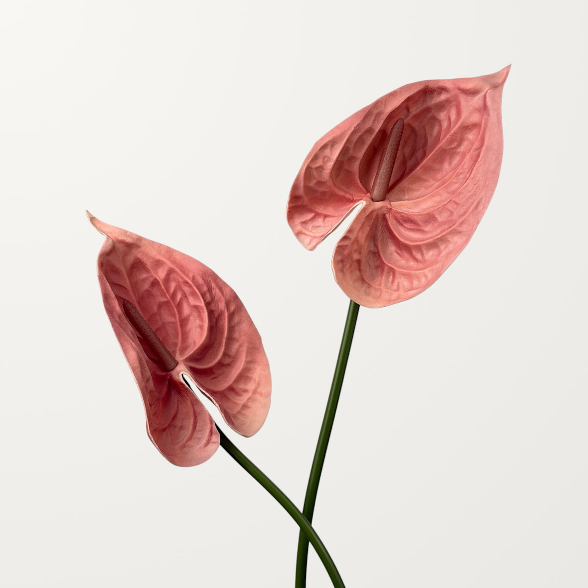 Bloom Anthurium Large – Coral (Real Touch) - view 2