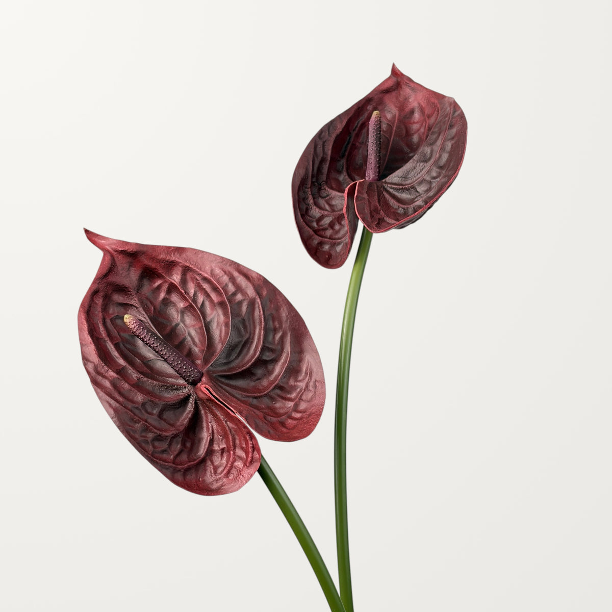 Bloom Anthurium Large – Dark Burgundy (Real Touch) - view 2
