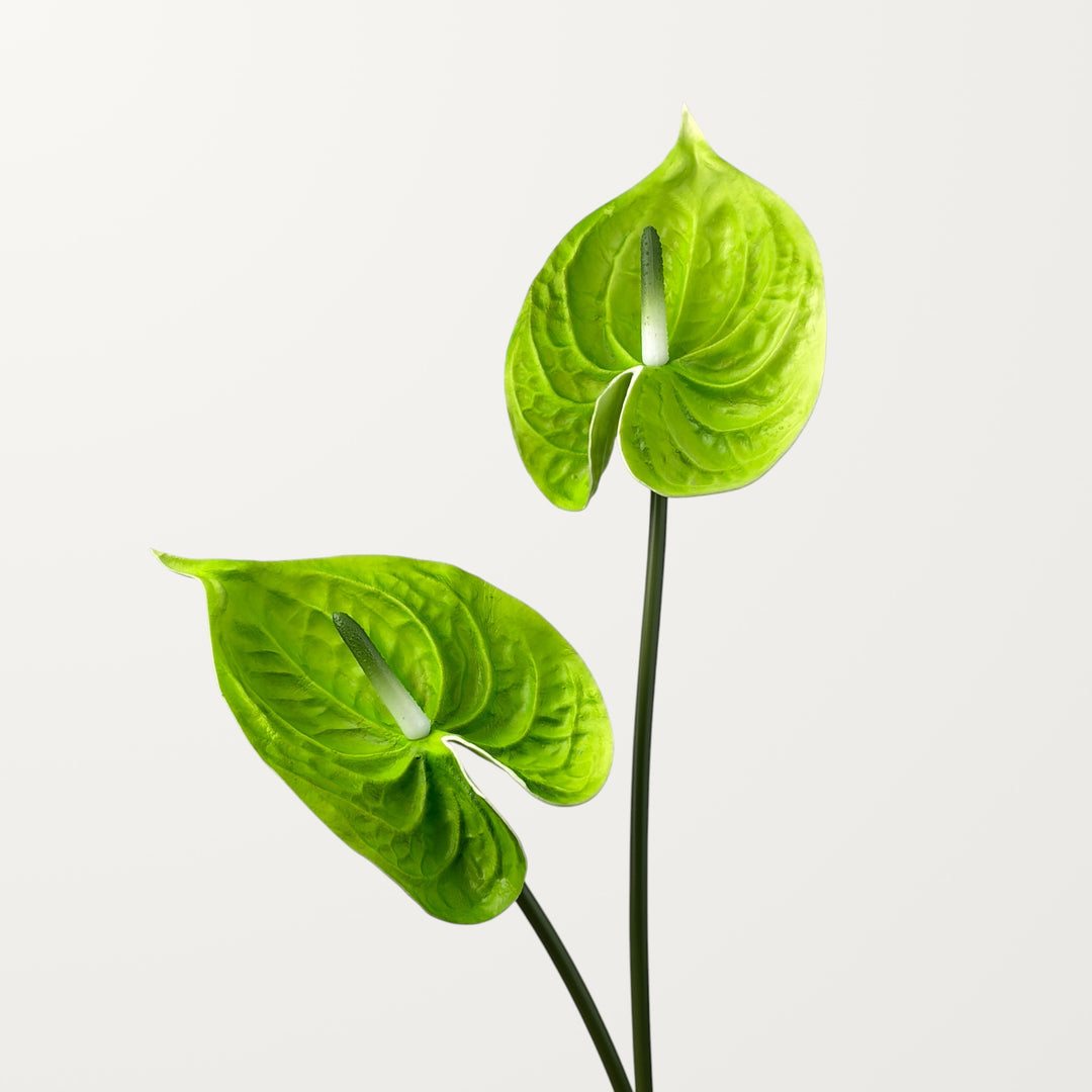 Bloom Anthurium Large – Emerald Green (Real Touch) - view 2