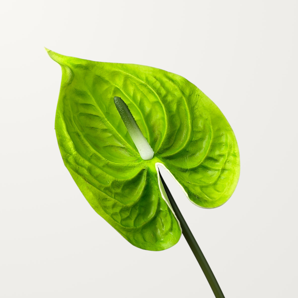 Bloom Anthurium Large – Emerald Green (Real Touch)