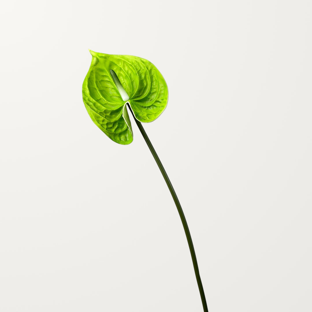 Bloom Anthurium Large – Emerald Green (Real Touch) - view 3