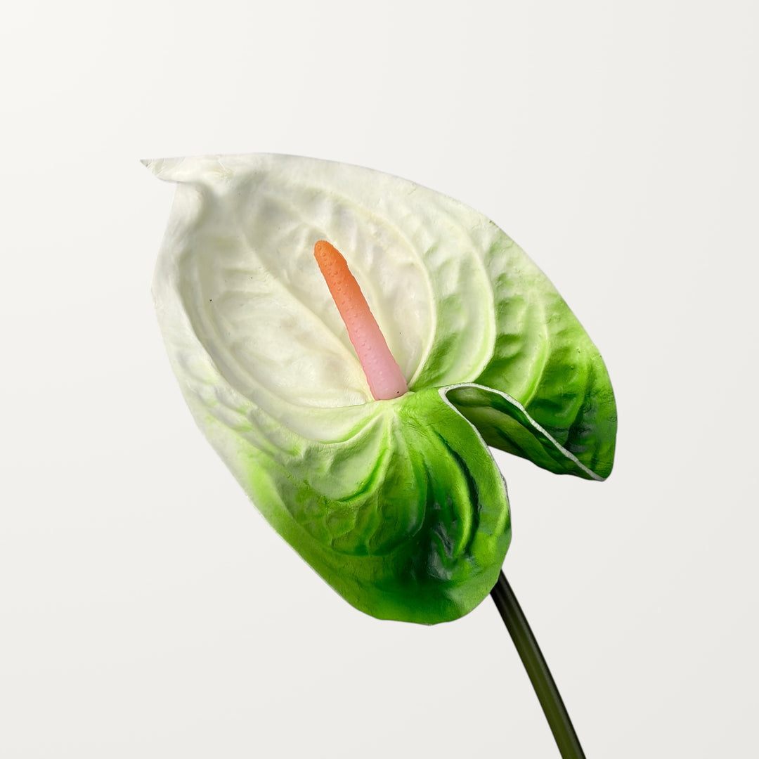 Bloom Anthurium Large – Emerald White (Real Touch)