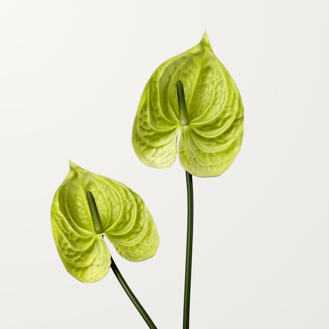 Bloom Anthurium Large – Green (Real Touch) - view 2
