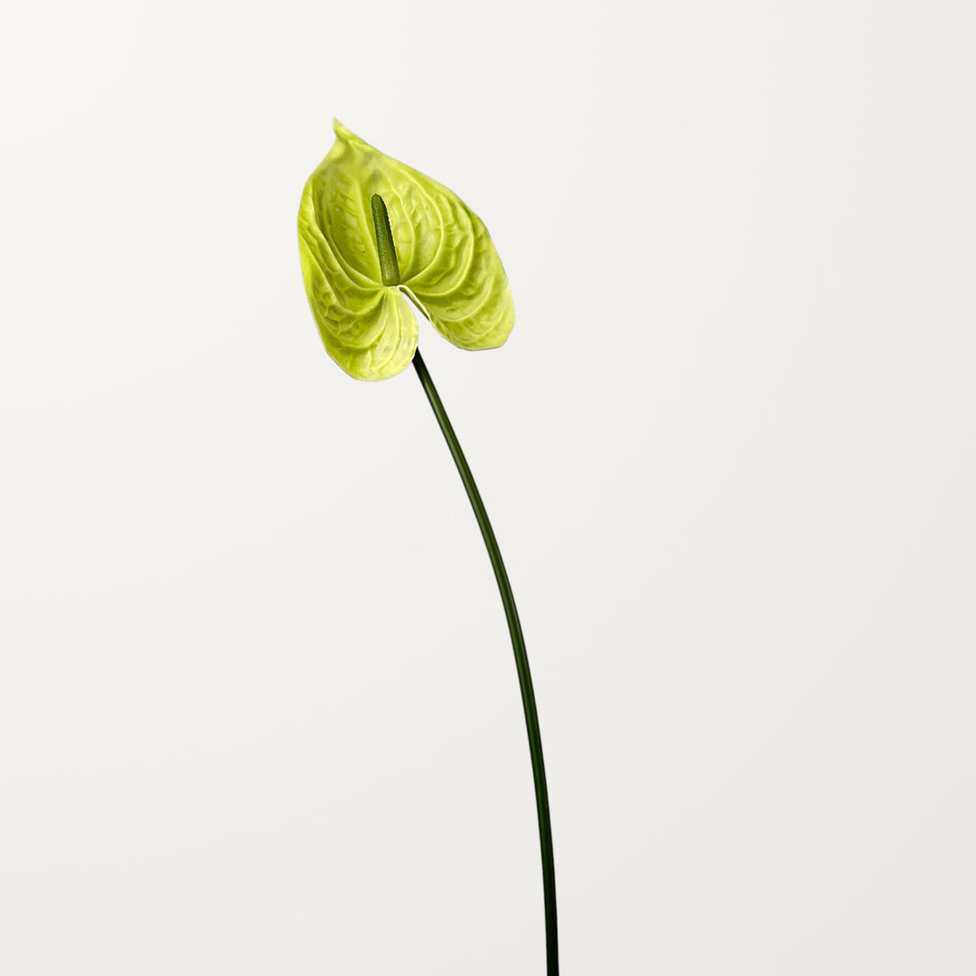 Bloom Anthurium Large – Green (Real Touch) - view 3