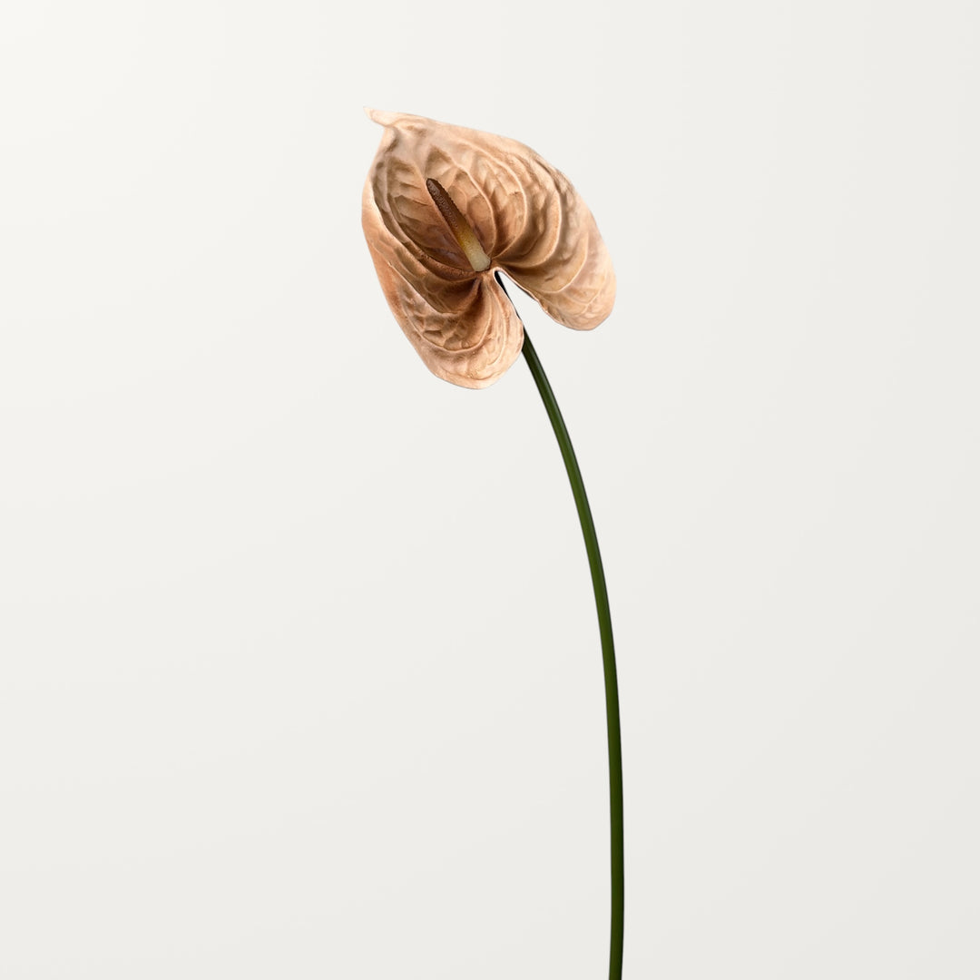 Bloom Anthurium Large – Latte (Real Touch) - view 3