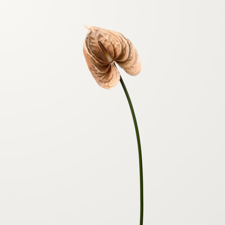 Bloom Anthurium Large – Latte (Real Touch) - view 3