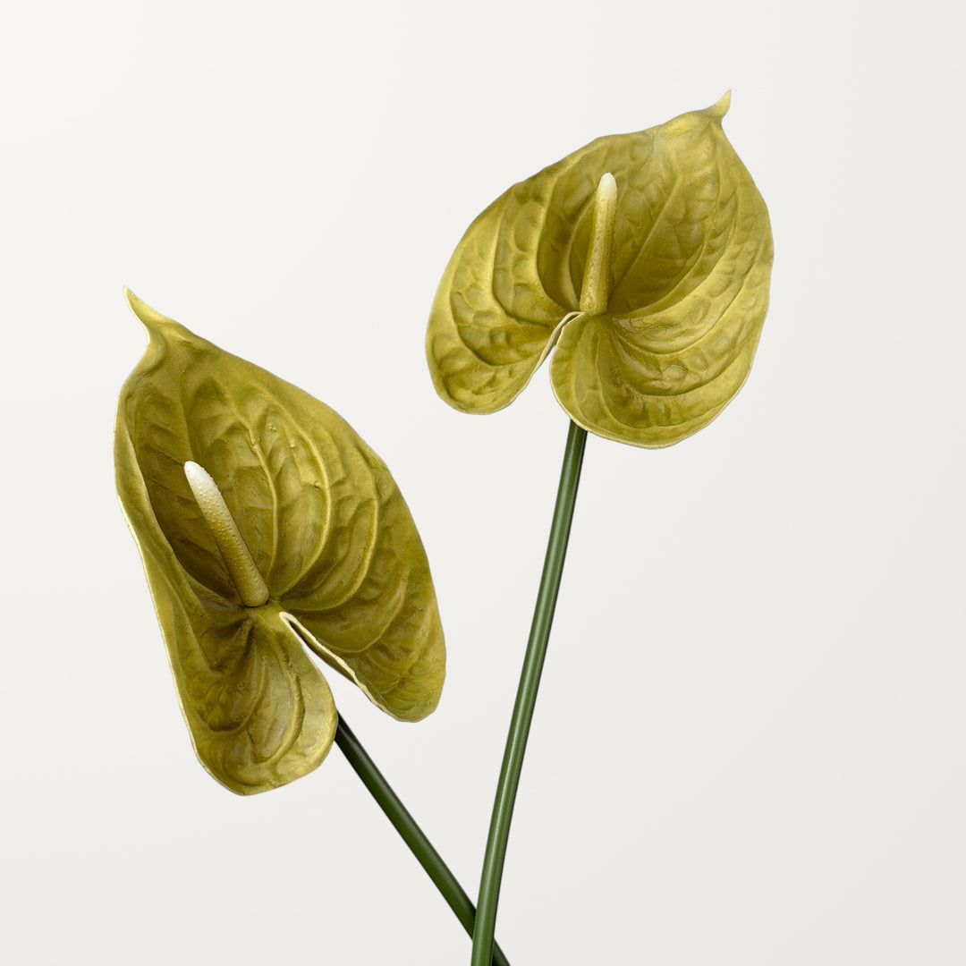 Bloom Anthurium Large – Olive Green (Real Touch) - view 2