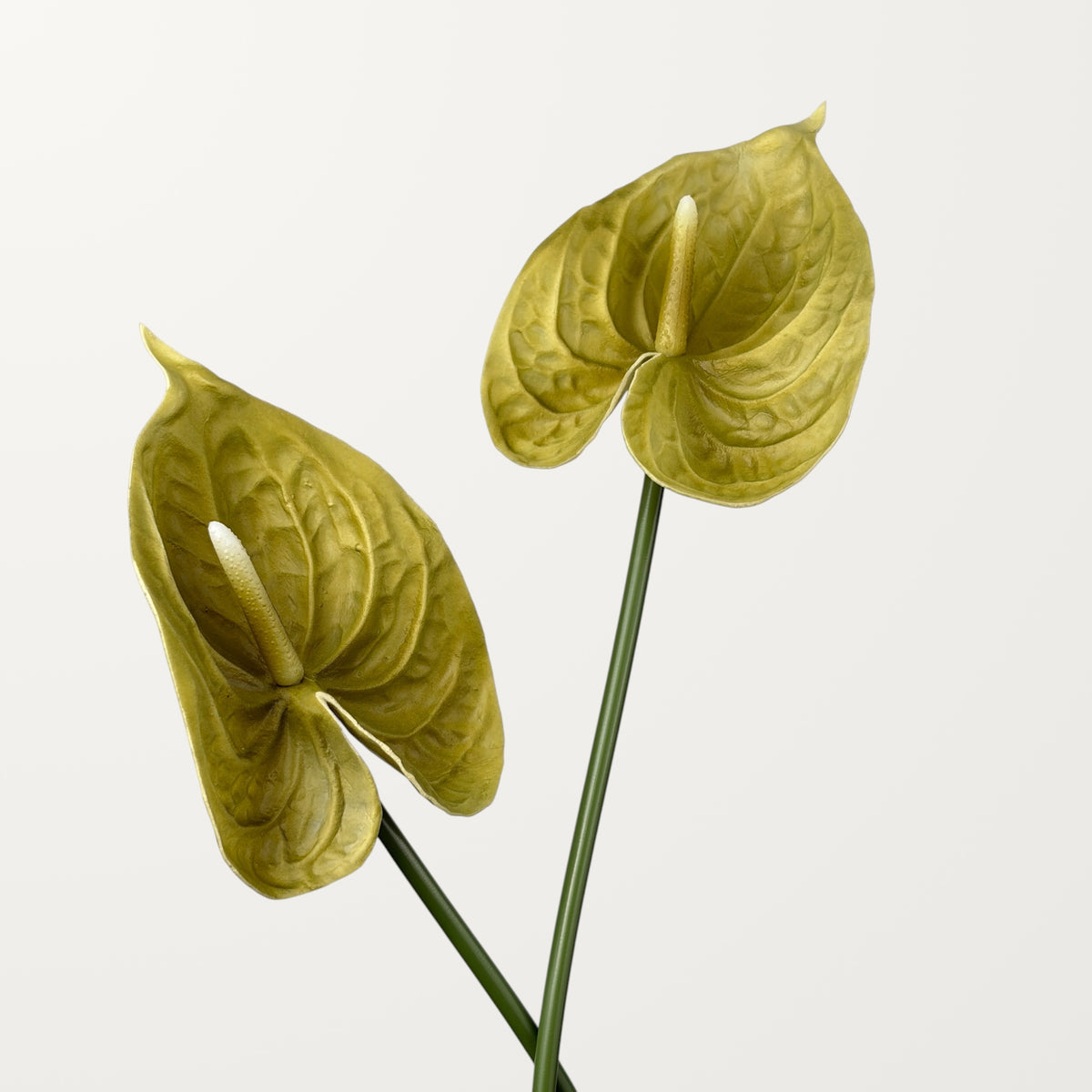 Bloom Anthurium Large – Olive Green (Real Touch) - view 2