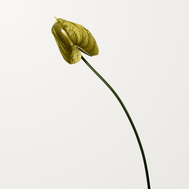 Bloom Anthurium Large – Olive Green (Real Touch) - view 3
