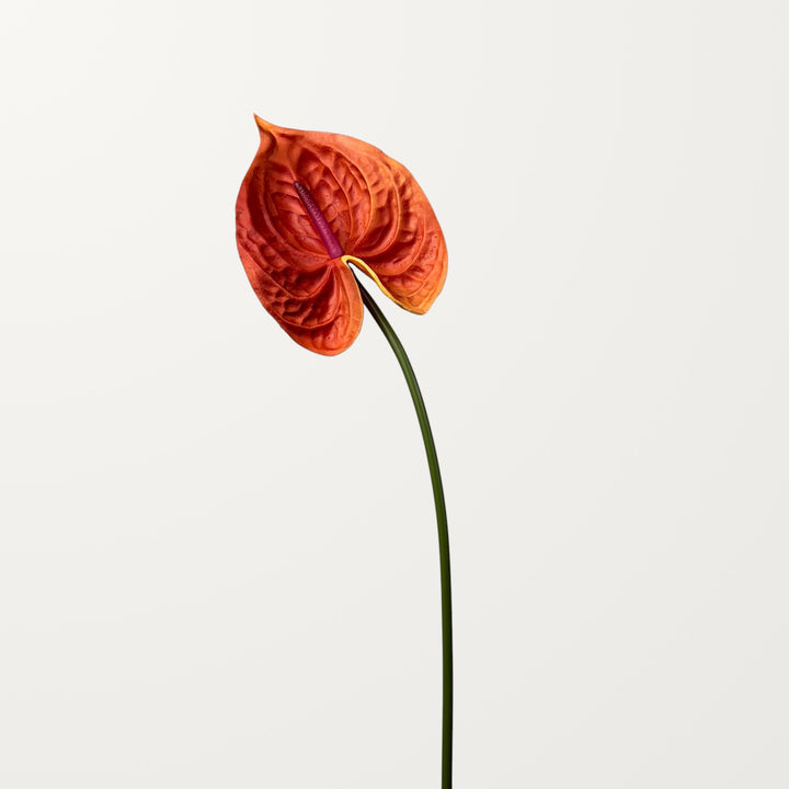 Bloom Anthurium Large – Orange (Real Touch) - view 3