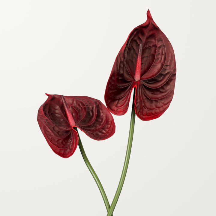 Bloom Anthurium Large – Red (Real Touch) - view 2
