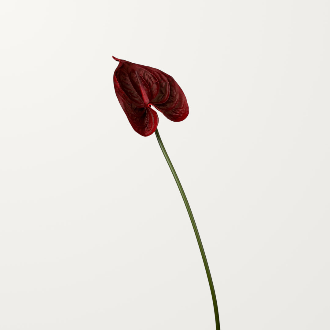 Bloom Anthurium Large – Red (Real Touch) - view 3