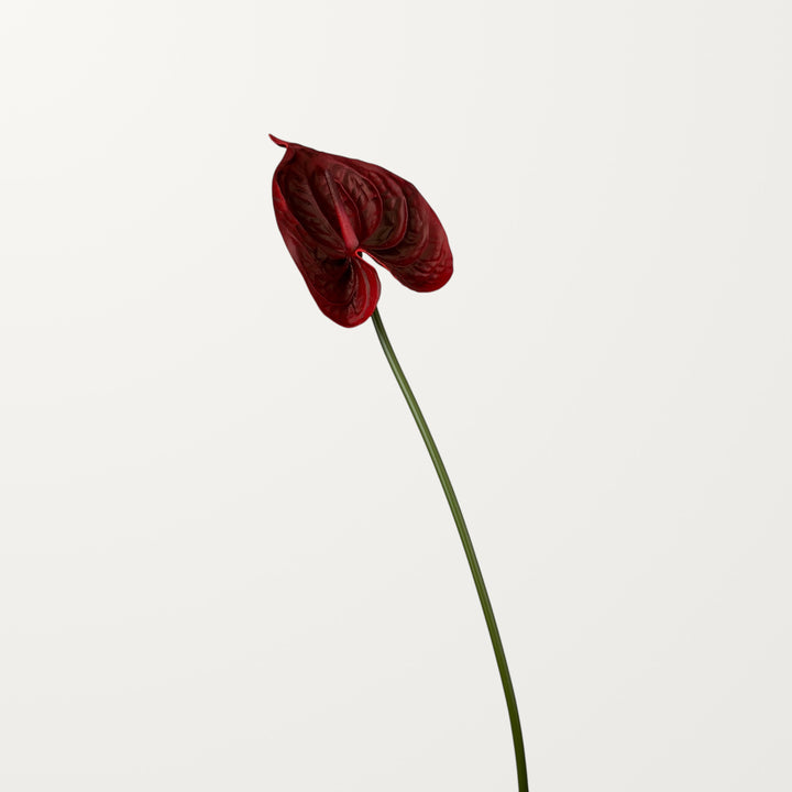 Bloom Anthurium Large – Red (Real Touch) - view 3