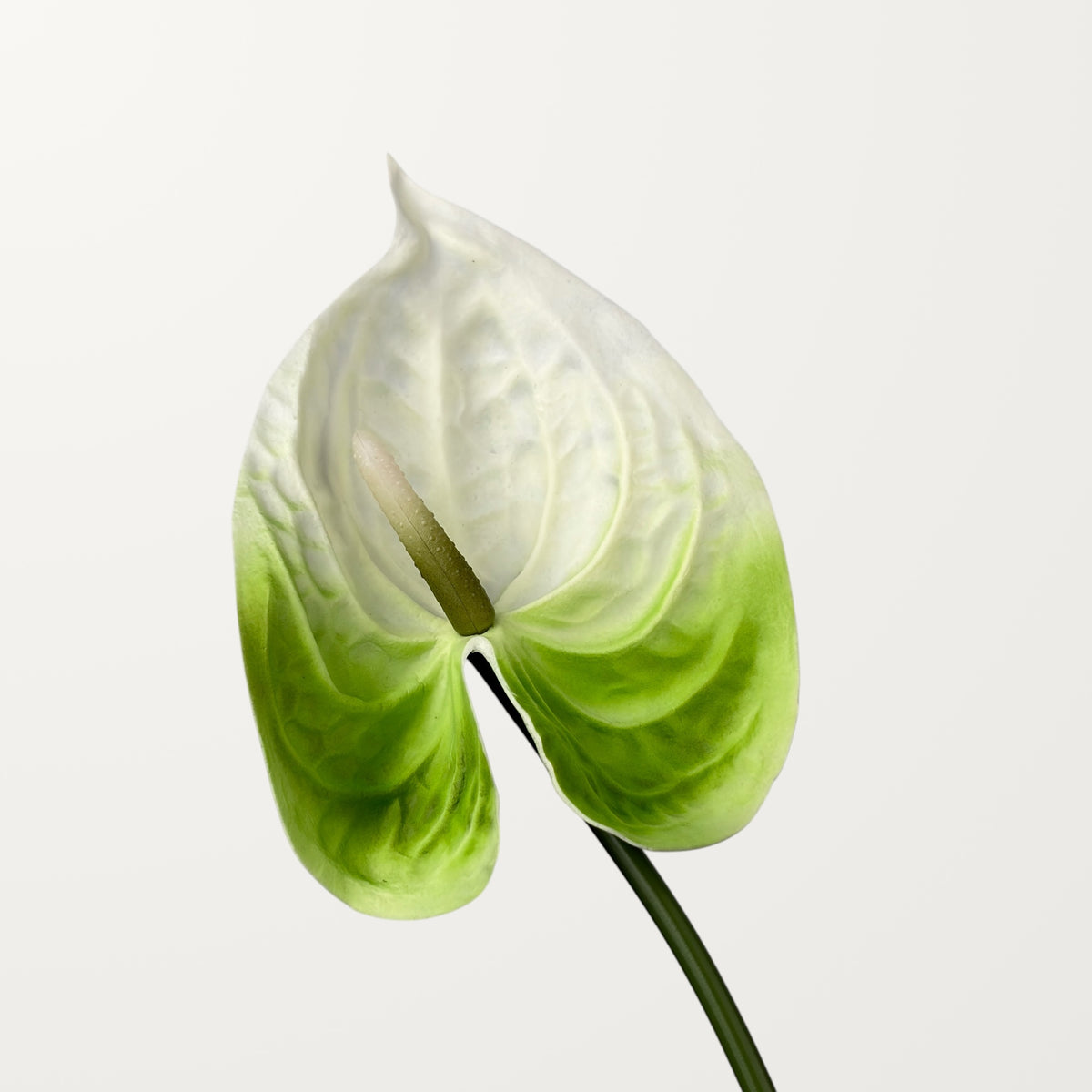 Bloom Anthurium Large – Soft Emerald (Real Touch)