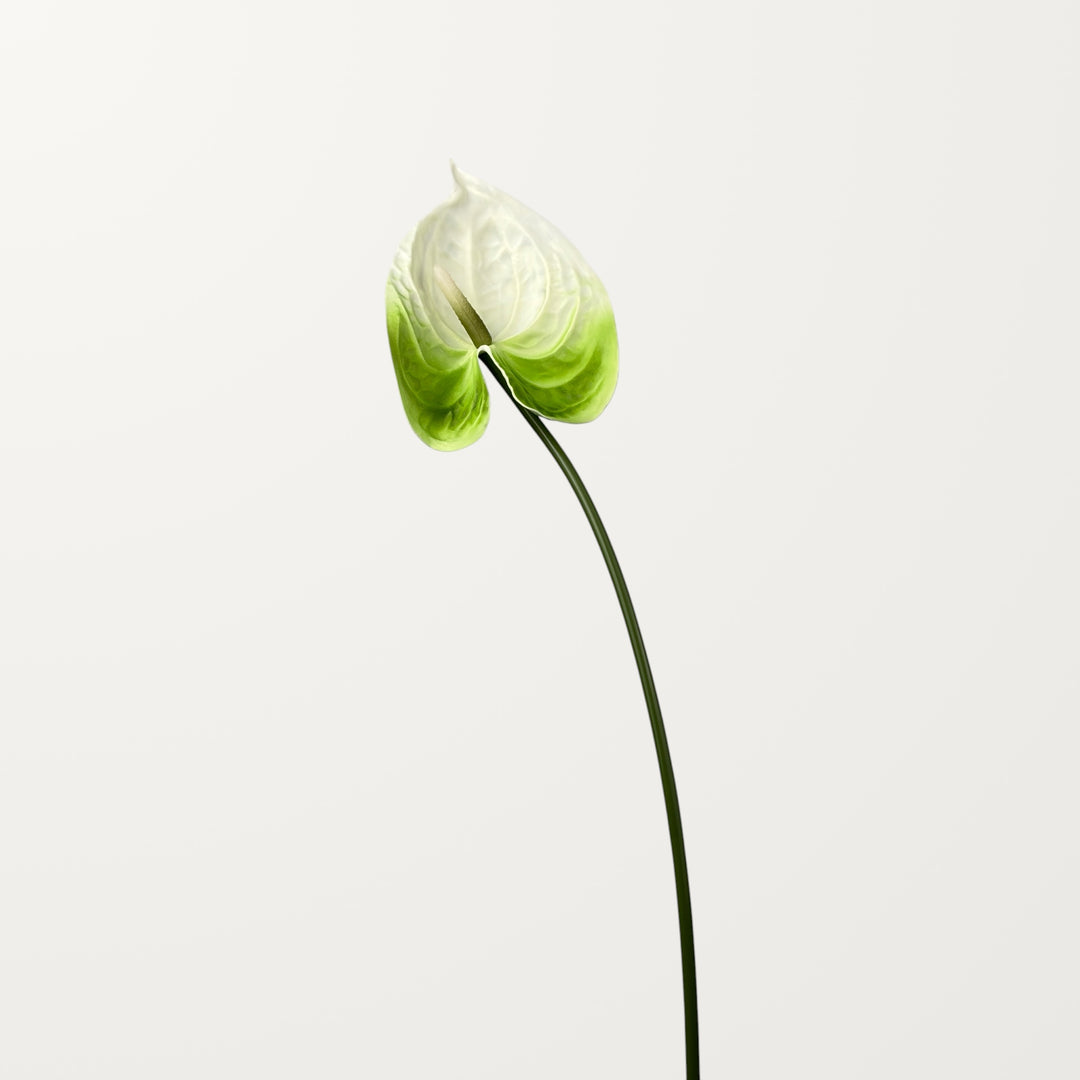 Bloom Anthurium Large – Soft Emerald (Real Touch) - view 3