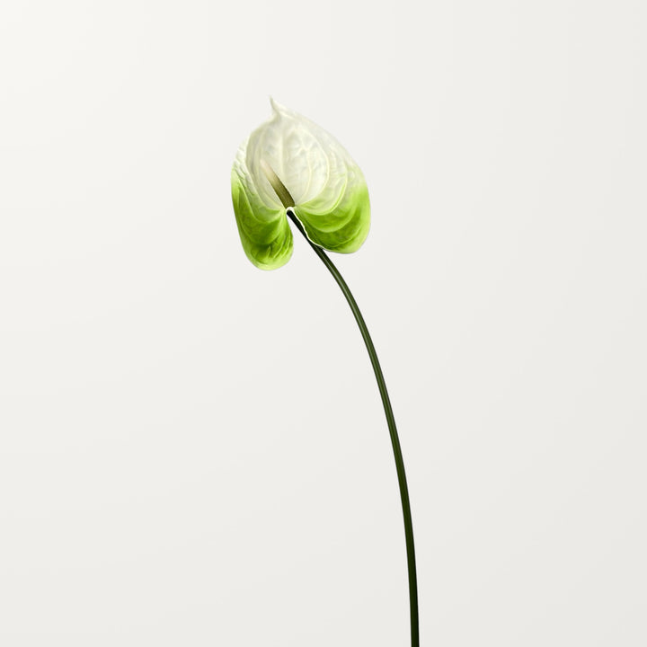 Bloom Anthurium Large – Soft Emerald (Real Touch) - view 3