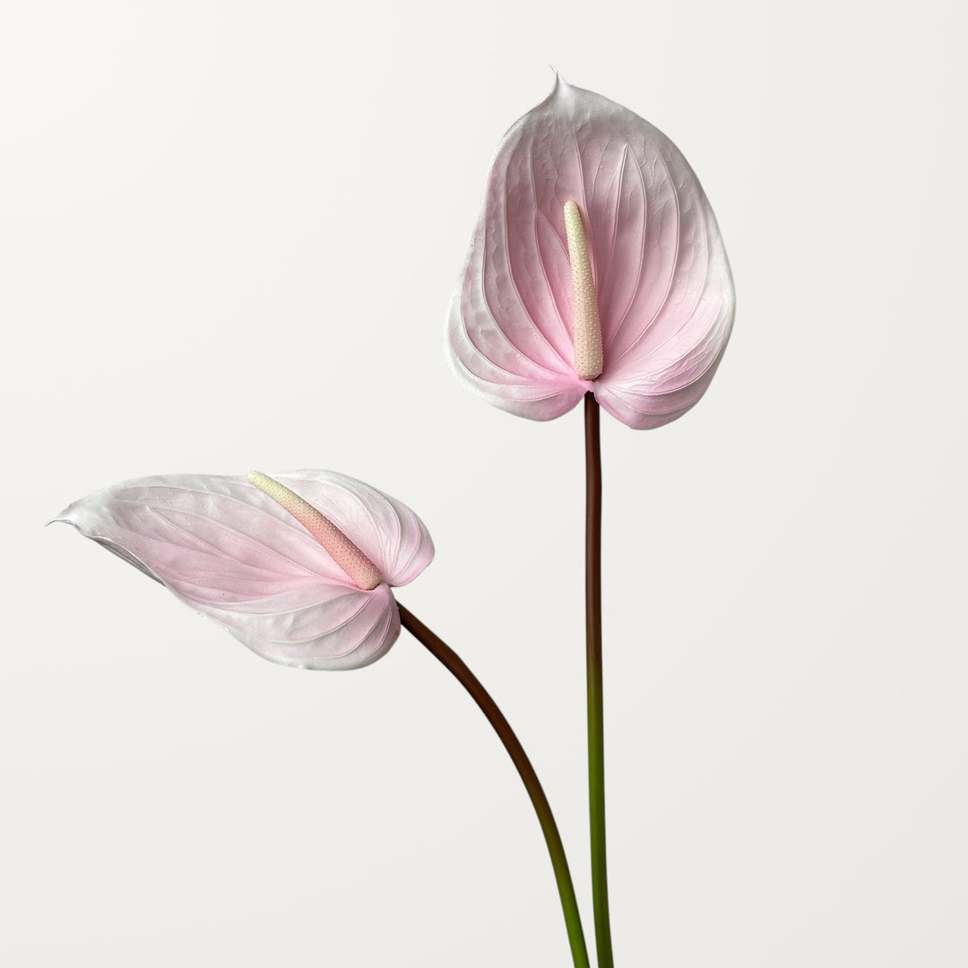 Large Anthurium – Petal Pink (Real Touch) - view 2
