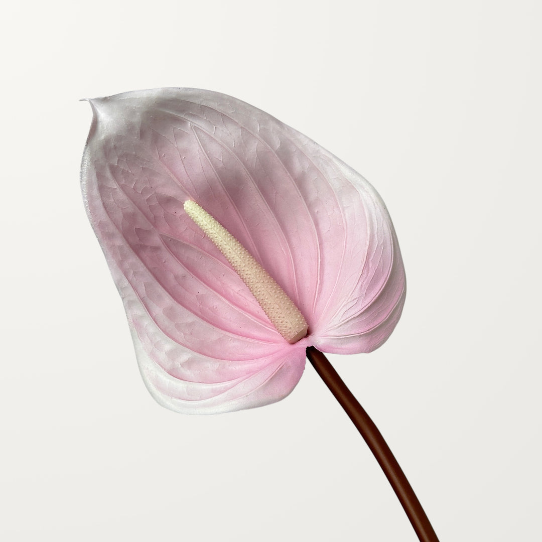 Large Anthurium – Petal Pink (Real Touch)