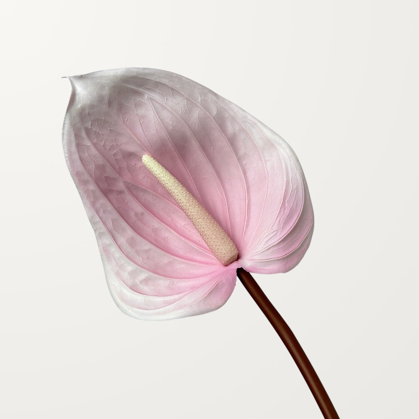 Large Anthurium – Petal Pink (Real Touch)