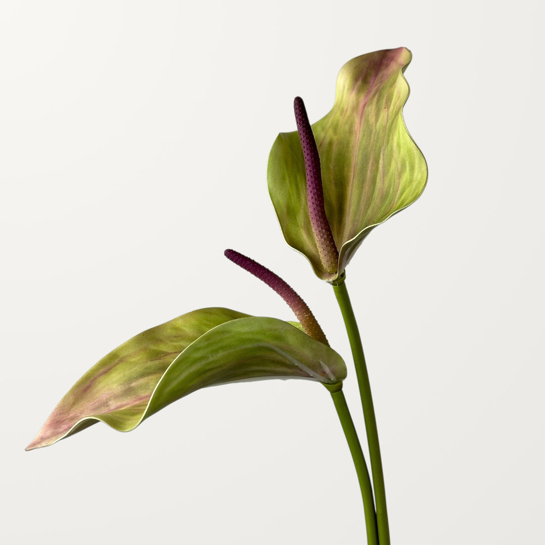 Calla Anthurium – Terracotta (Real Touch) - view 2