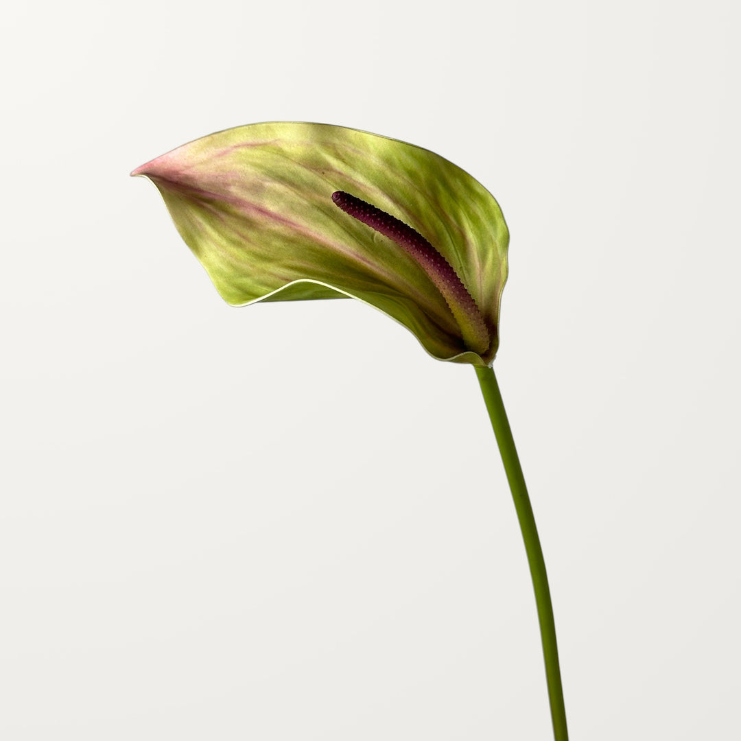 Calla Anthurium – Terracotta (Real Touch) - view 3