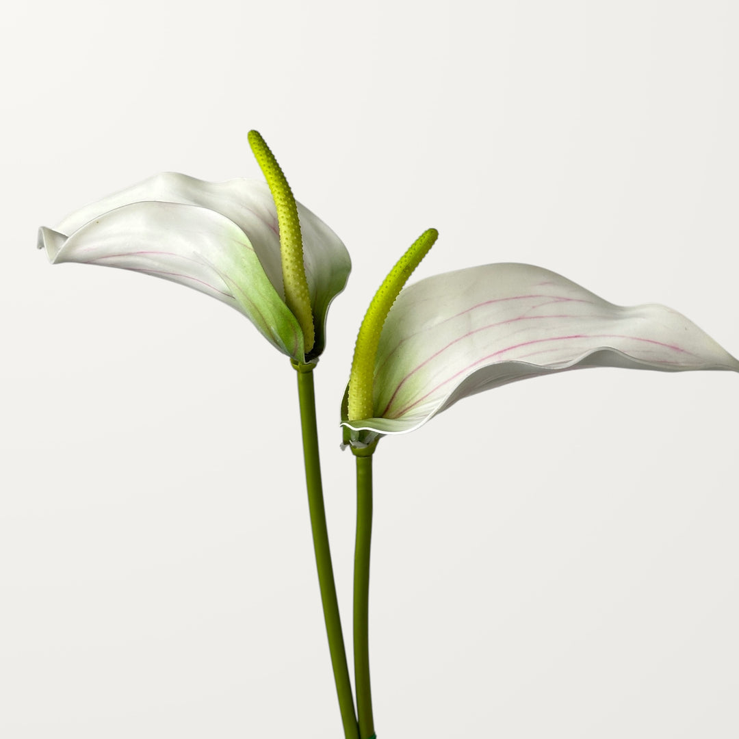 Calla Anthurium – White (Real Touch) - view 2