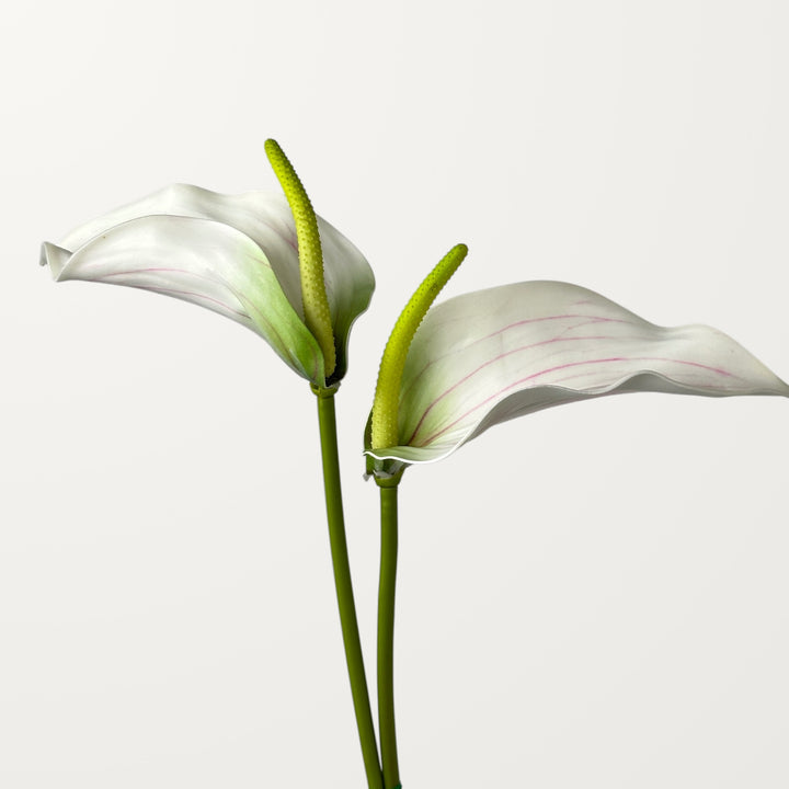 Calla Anthurium – White (Real Touch) - view 2