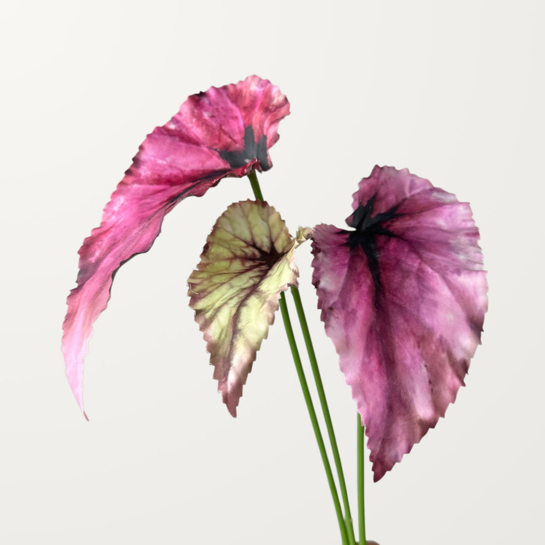 Begonia Leaf – Magenta - view 2