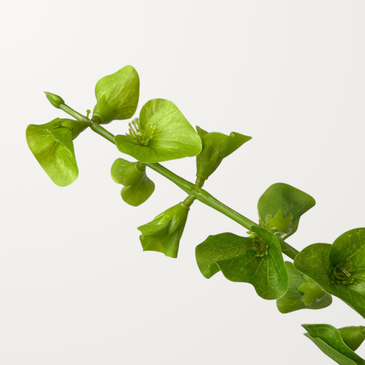 Bells of Ireland – Green (Real Touch) - view 3