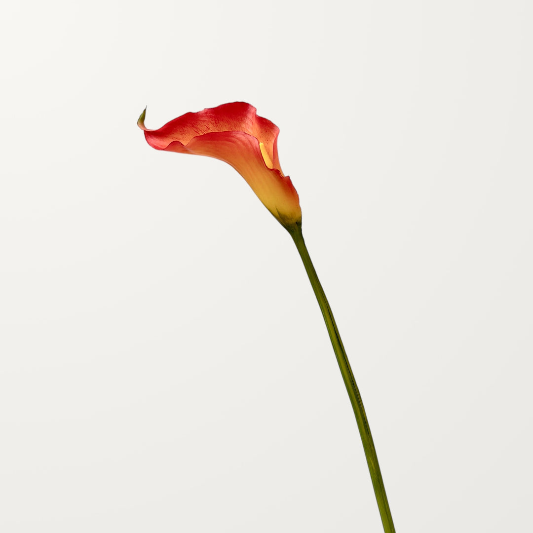 Sculpted Calla Lily – Amber Flame