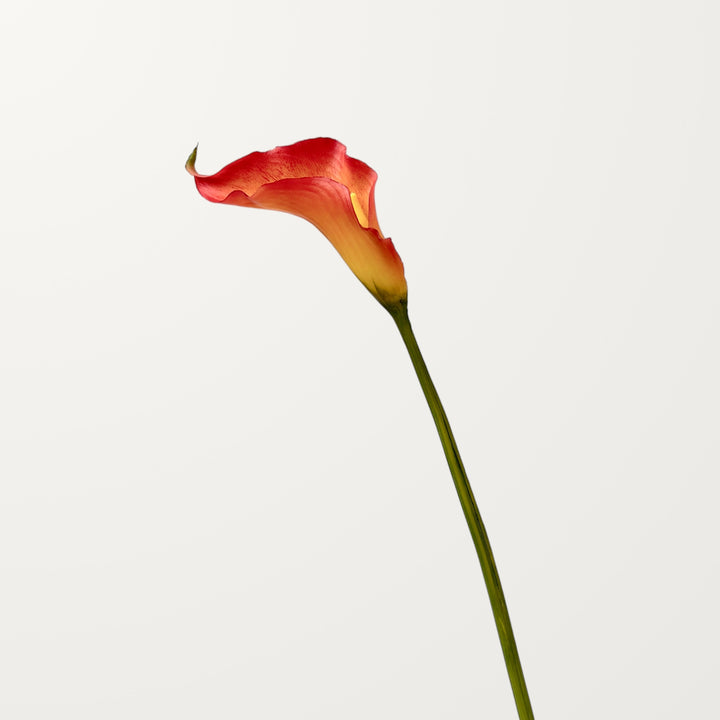 Sculpted Calla Lily – Amber Flame