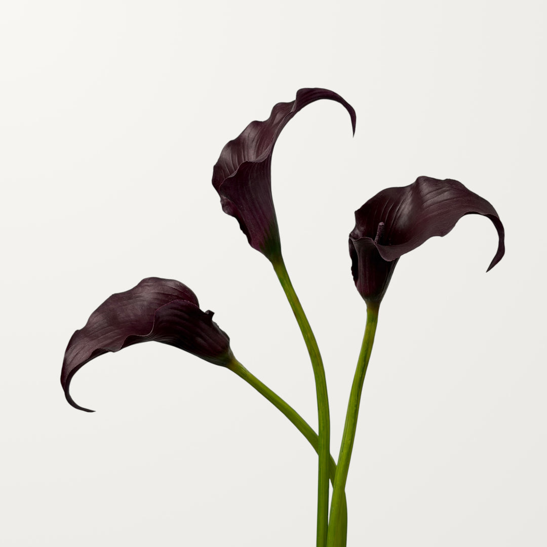 Sculpted Calla Lily – Black Cherry (Real Touch) - view 2