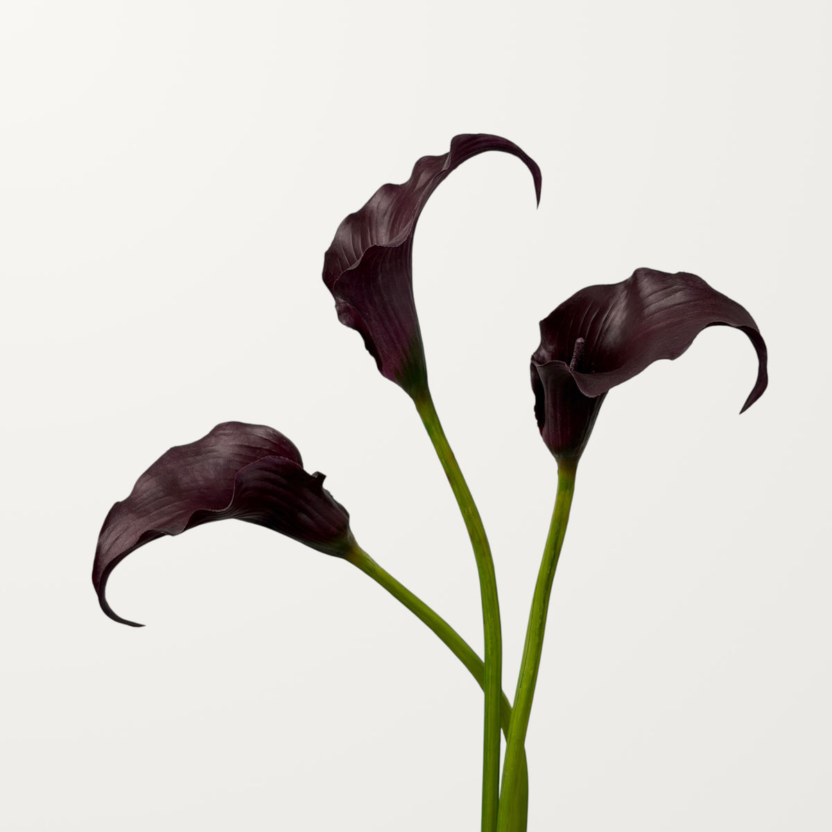 Sculpted Calla Lily – Black Cherry (Real Touch) - view 2