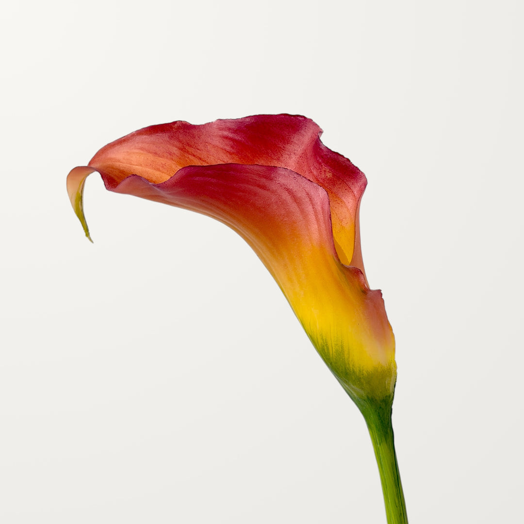 Sculpted Calla Lily – Scarlet Ember