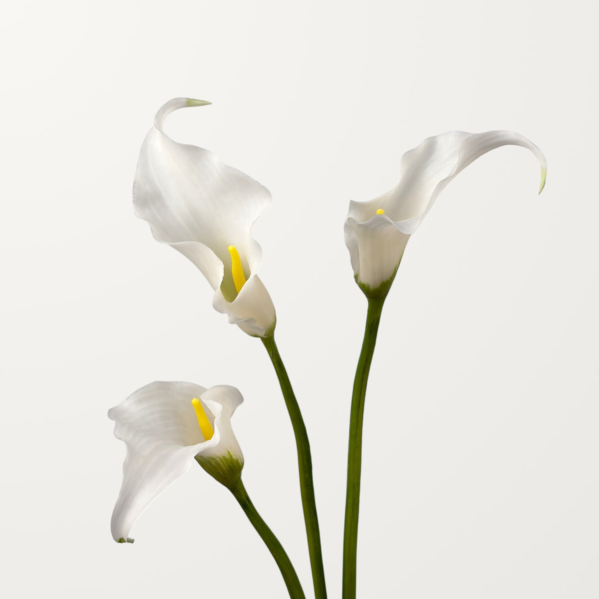 Sculpted Calla Lily – White (Real Touch) - view 2