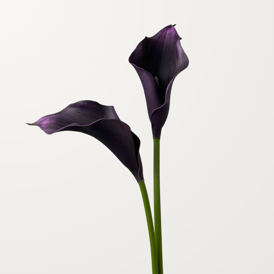 Calla Lily – Black Purple – Large - view 2