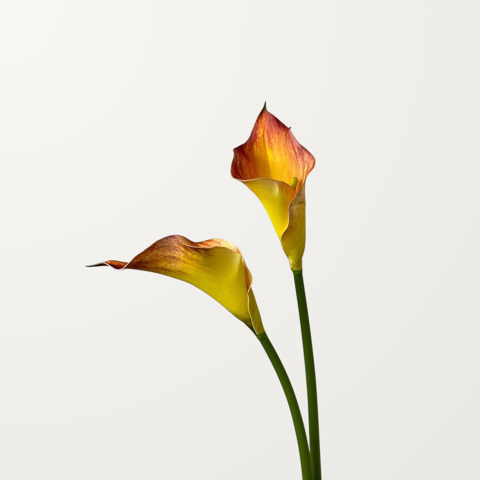 Calla Lily – Orange – Large - view 2
