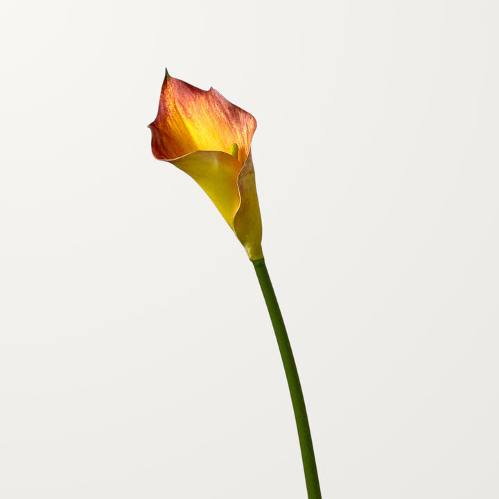 Calla Lily – Orange – Large - view 3