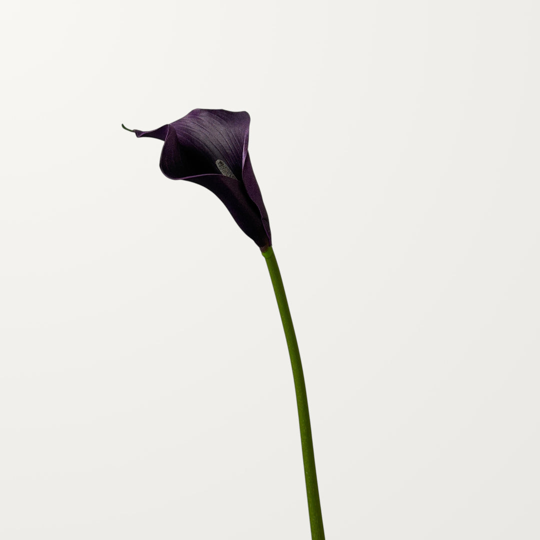 Calla Lily – Black Purple – Small - view 3