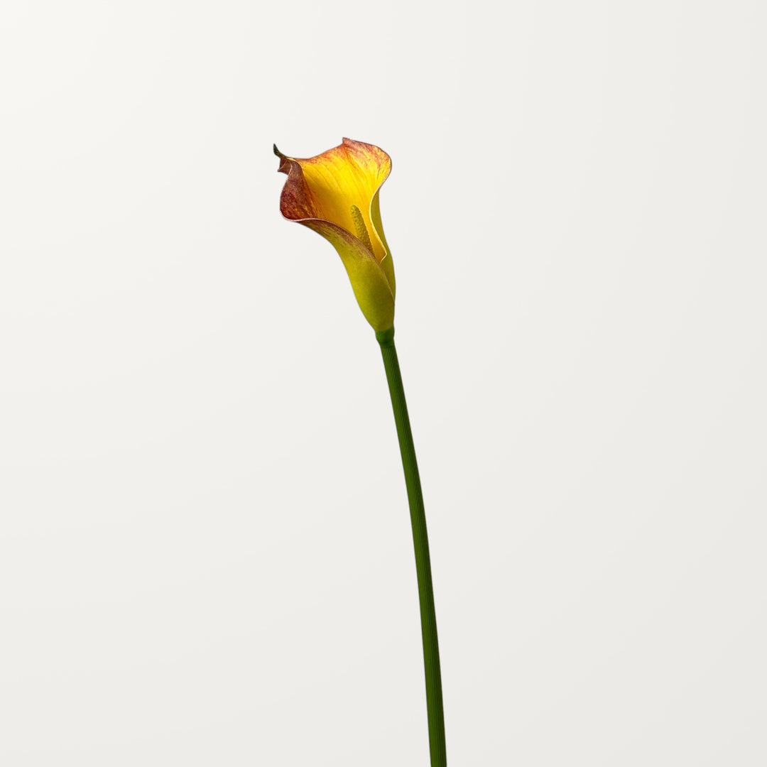 Calla Lily – Orange – Small - view 3