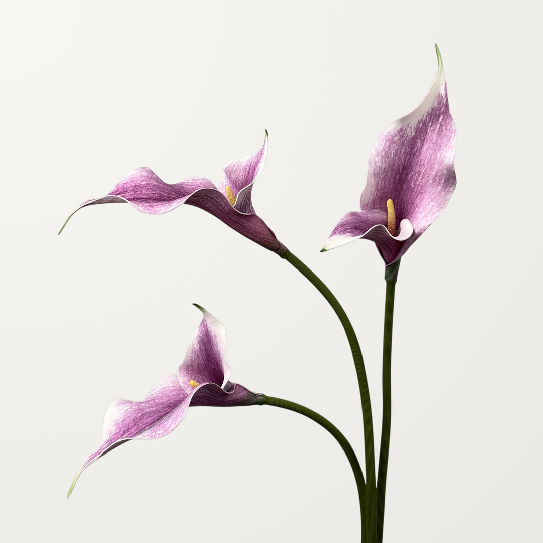 Twin Bloom Calla Lily – Purple Pink - view 2