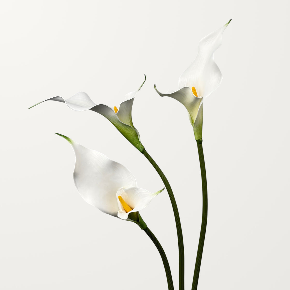 Twin Bloom Calla Lily – White - view 2