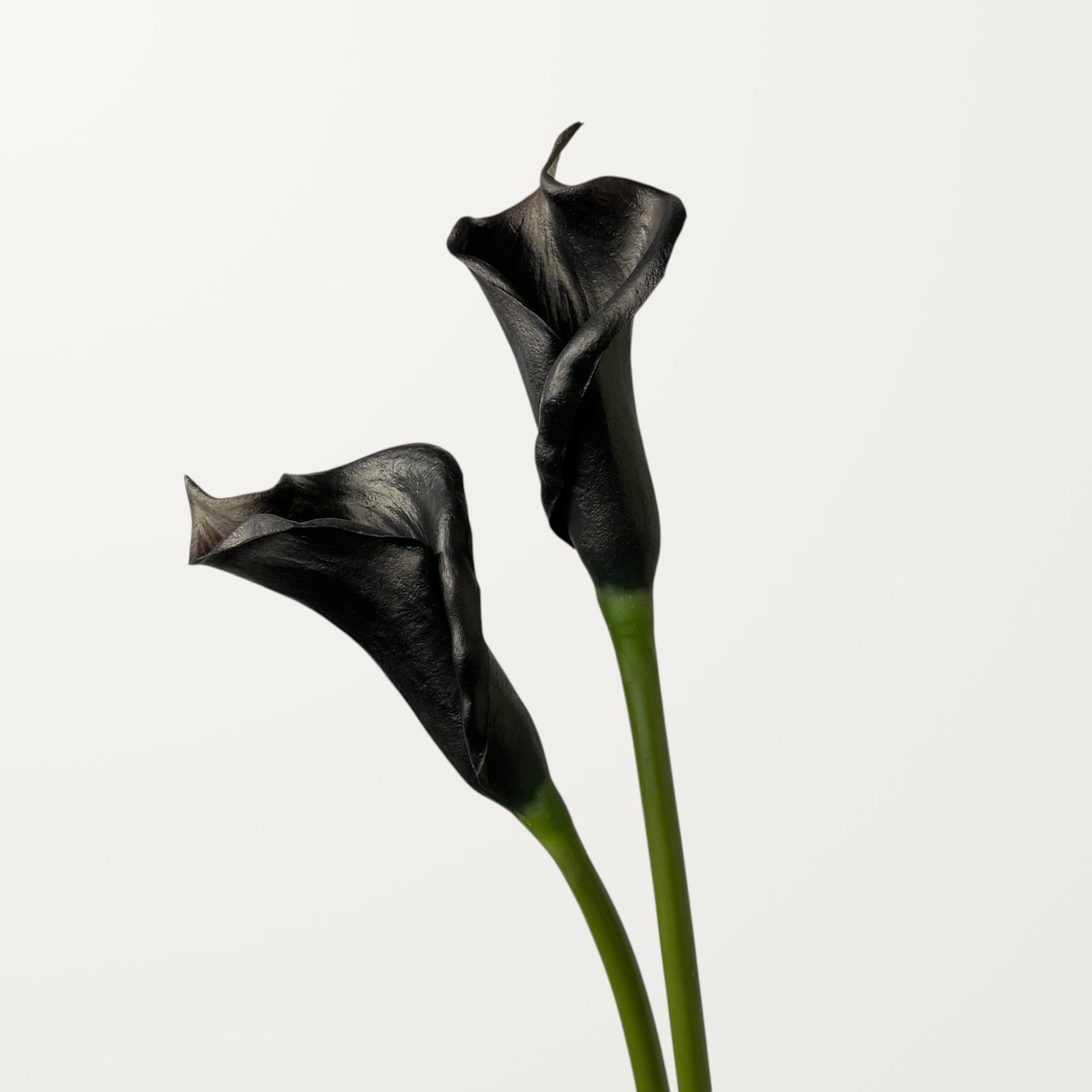 Calla Lily – Black (Real Touch) - view 2