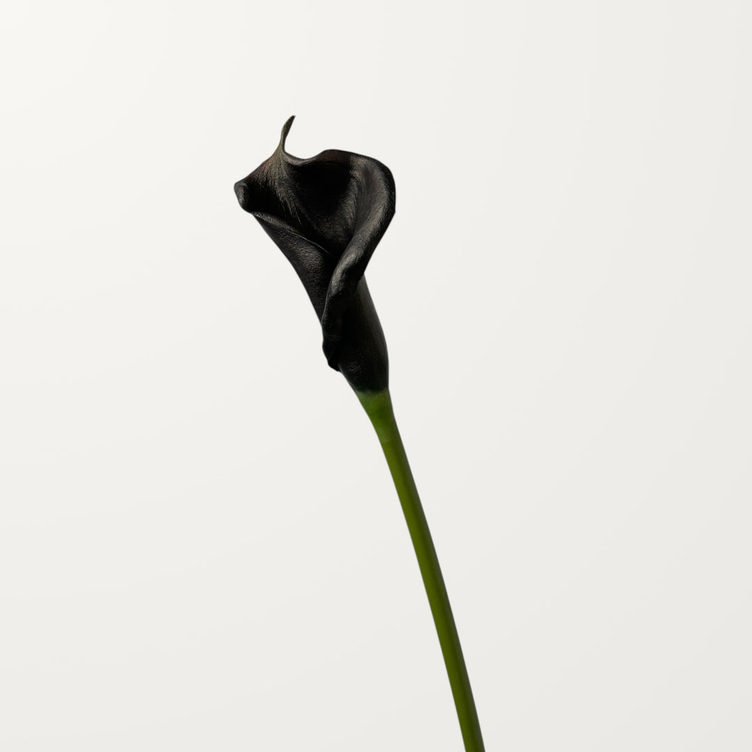 Calla Lily – Black (Real Touch) - view 3