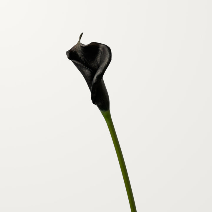 Calla Lily – Black (Real Touch) - view 3
