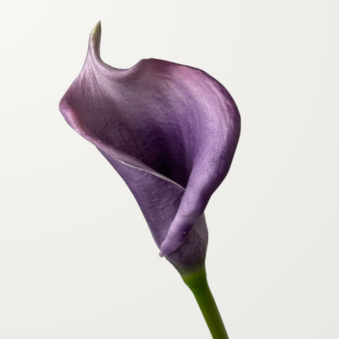 Calla Lily – Dusty Purple (Real Touch)
