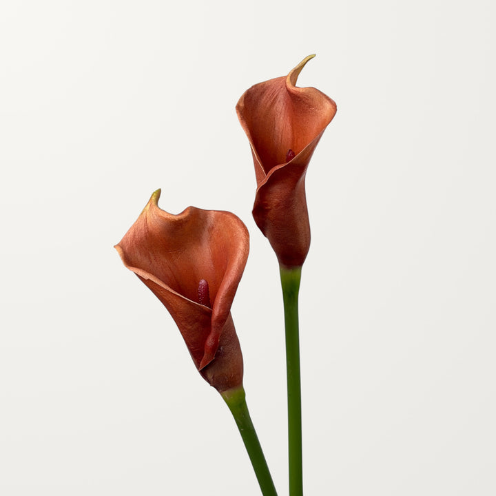 Calla Lily – Terracotta (Real Touch) - view 2