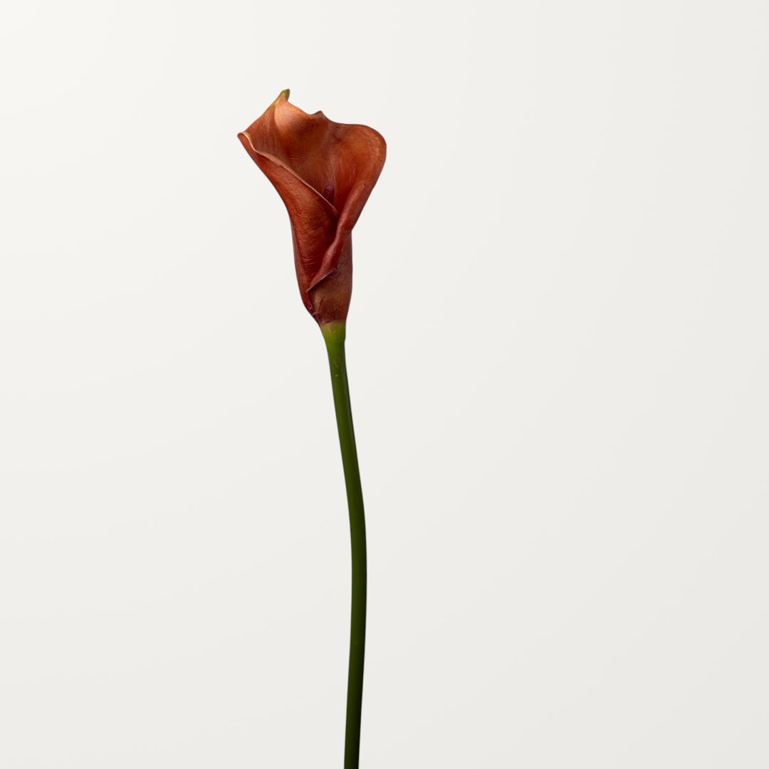 Calla Lily – Terracotta (Real Touch) - view 3