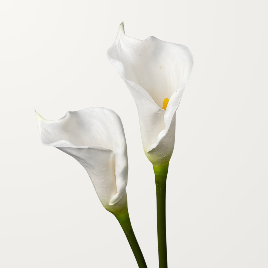 Calla Lily – White (Real Touch) - view 2
