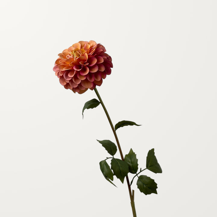 Dahlia – Coral - view 3